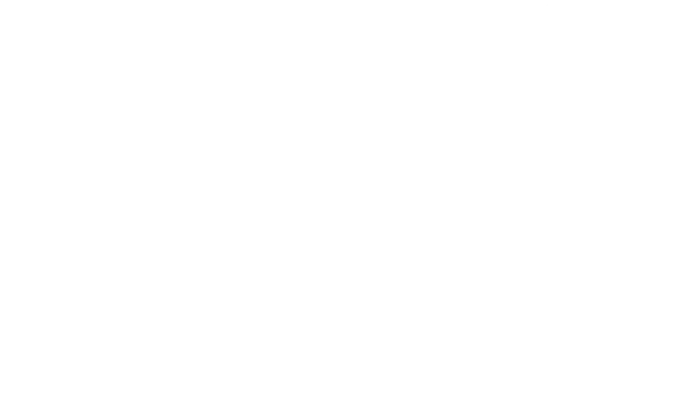 Vektor Global